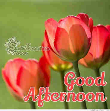 Good Afternoon Wishes